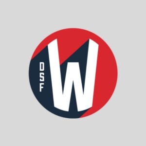 Logo featuring a white letter W inside a circle split between dark blue and red, with the letters DSF stacked vertically along the left side, serving as a point of contact.