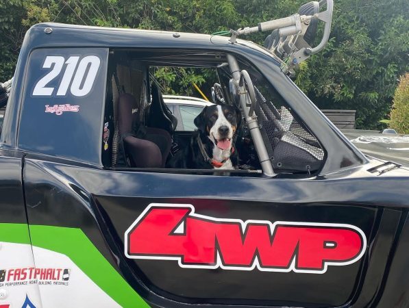 A black and white dog with its tongue out sits in the drivers seat of a black off-road race truck marked with the number 210 and a 4WP logo.